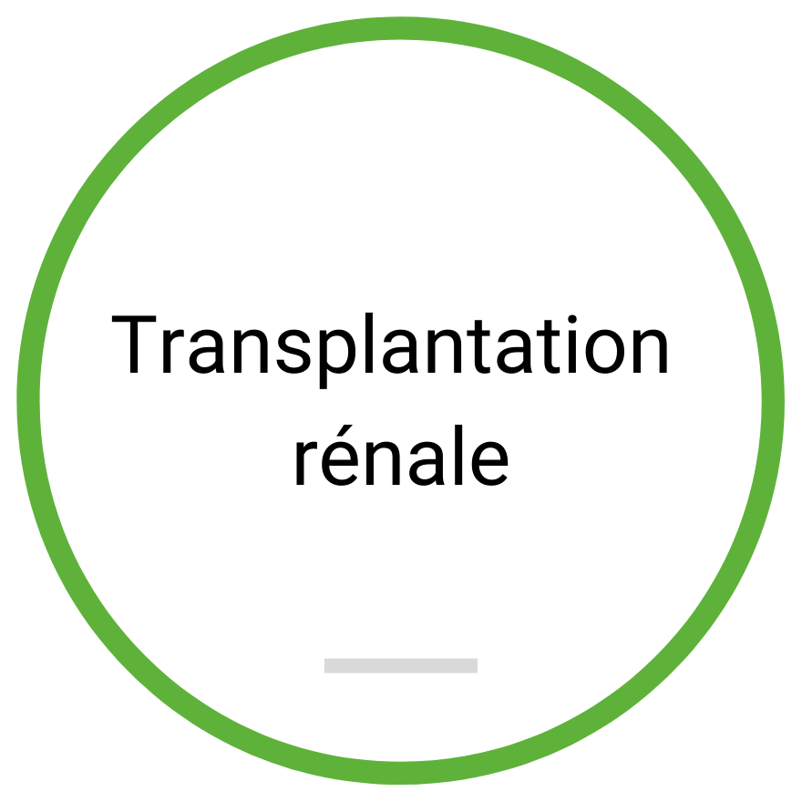 Checklist: Transplantation rénale (document PDF à télécharger)